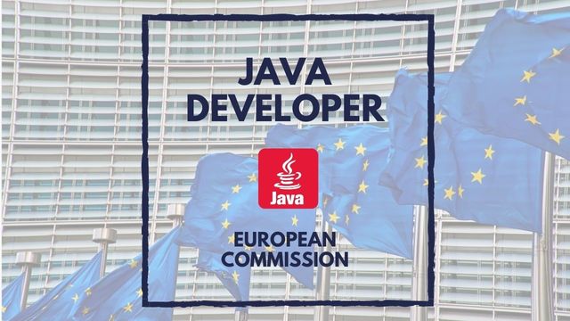 IT Job - Private - Backend Java Developer - Sprint CV