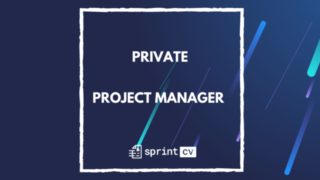 IT Job - Private - Project Manager - Sprint CV