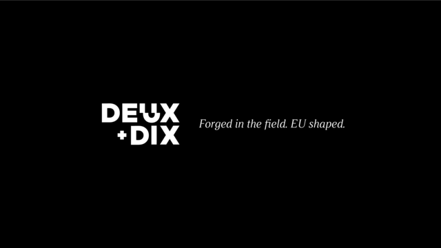 IT Job - EU Project Managers - Sprint CV