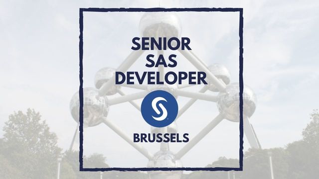 IT Job - Senior SAS Developer - Sprint CV